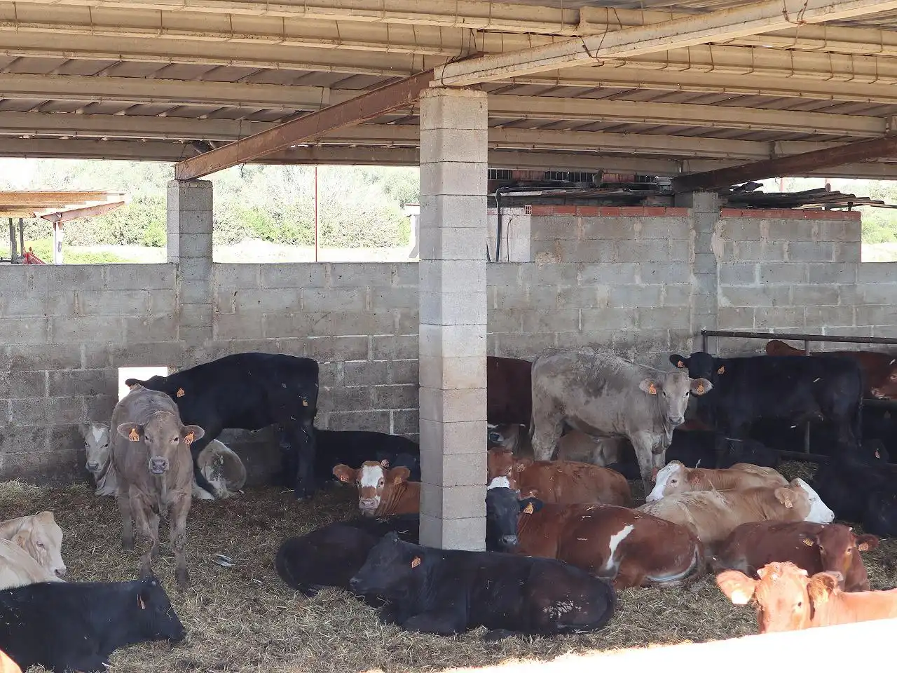 Industriegebäude zum Verkauf in Ulldecona, imagen 41