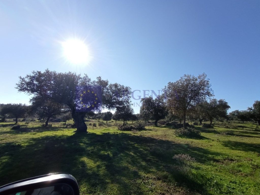Finca rústica en venda en Torrejoncillo