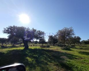 Country house zum verkauf in Torrejoncillo