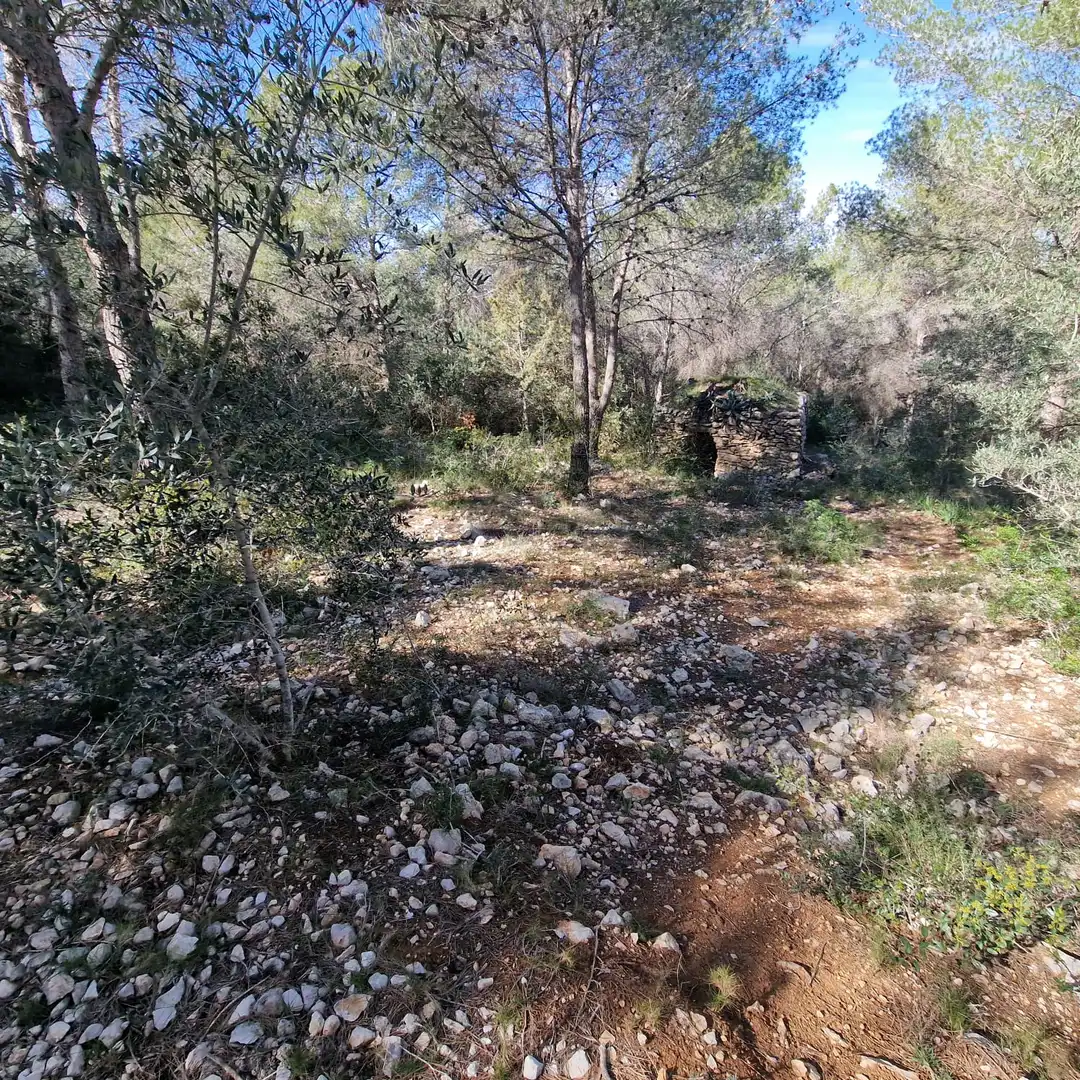 Terreno residencial en venta en Carrer Gessamí 18, imagen 29