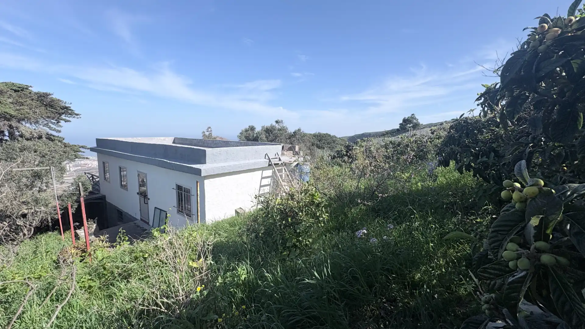 Casa amb jardí en venda a Los Quintana - Piso Firme, imagen 2