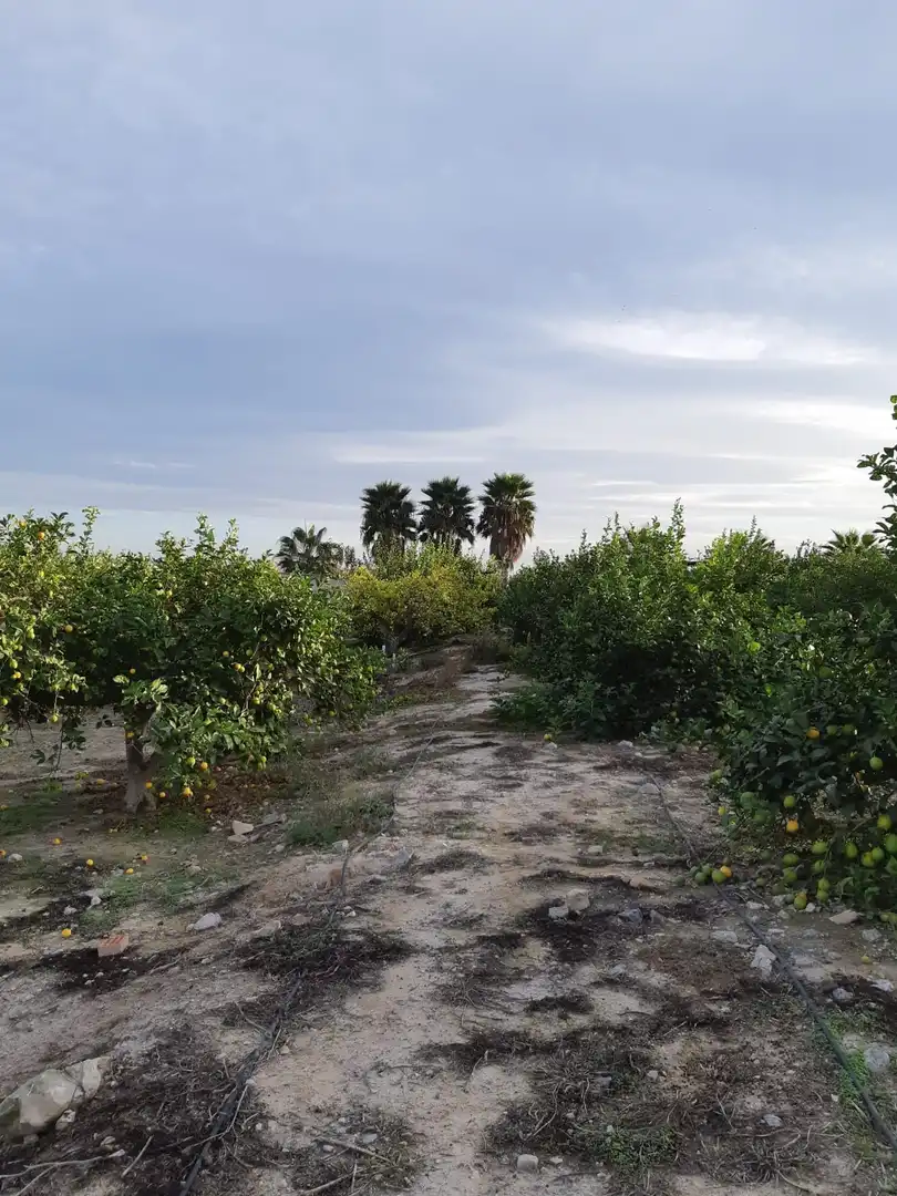 Casa rústica amb jardí en venda a San Miguel de Salinas