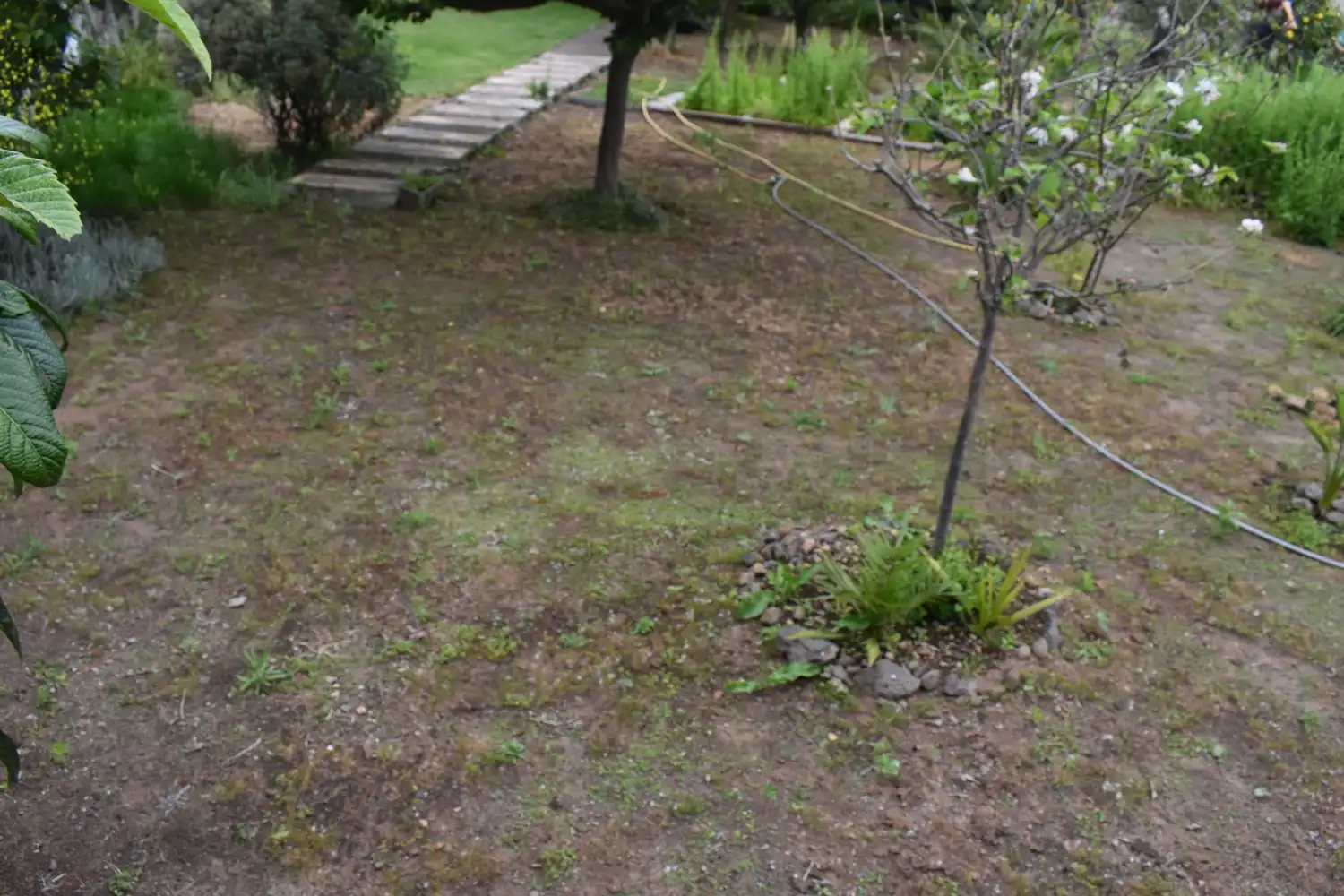 Jardí de Finca rústica en venda en Icod de los Vinos amb Terrassa i Moblat