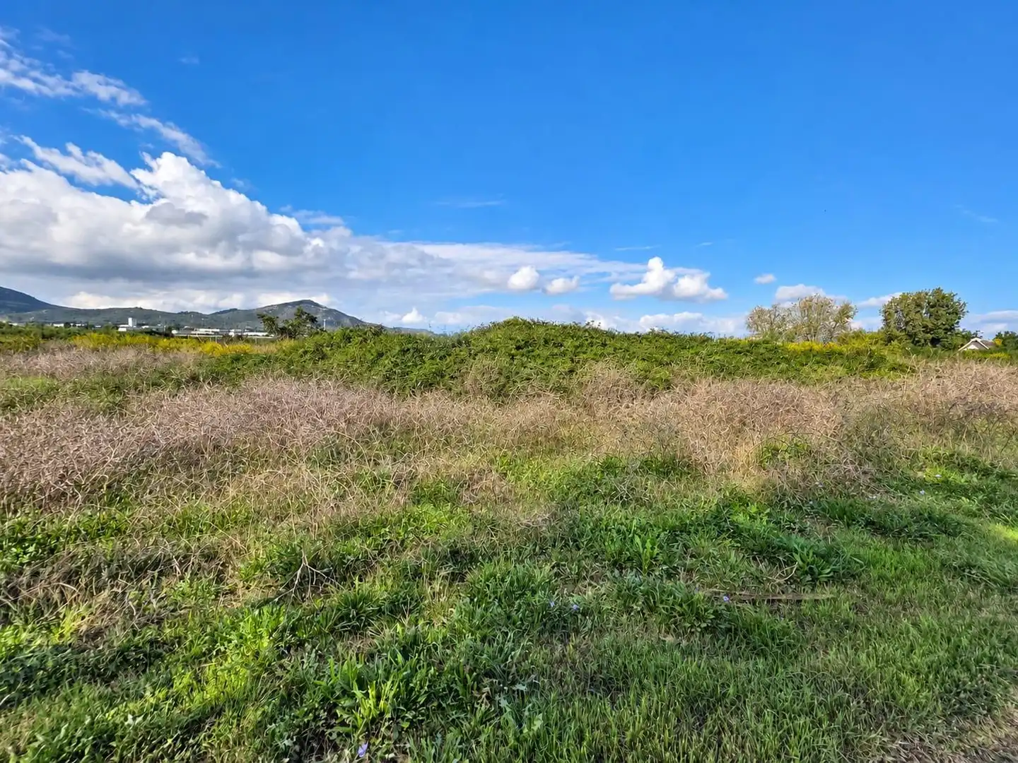 Rural land for sale in Polígono Sèquia de la Figuerola Dreta, imagen 3
