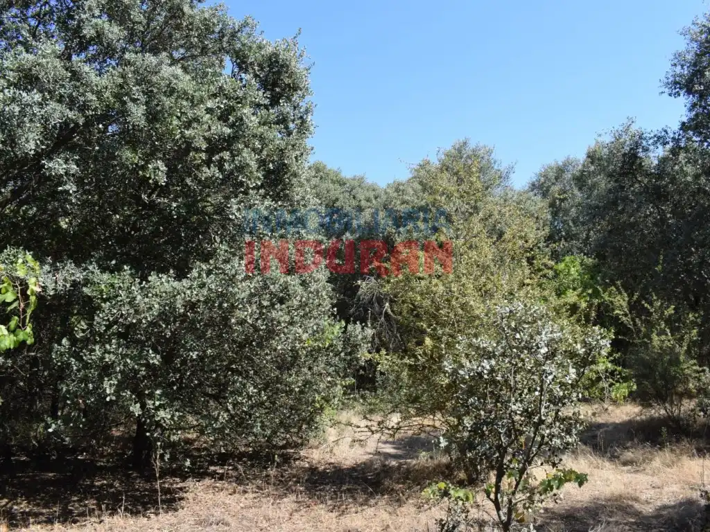Haus zum Verkauf in Peraleda de la Mata, imagen 11