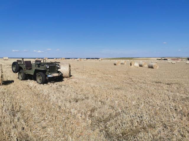 Terreno en Venta en Villalba de los Llanos