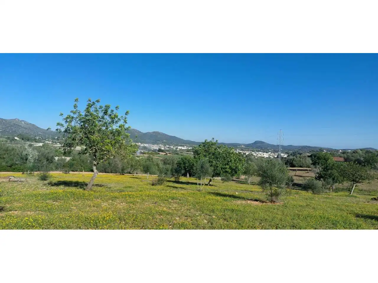 Rural land for sale in Poligono 5 723, imagen 30