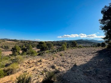 Terreny rústic en venda a Jumilla