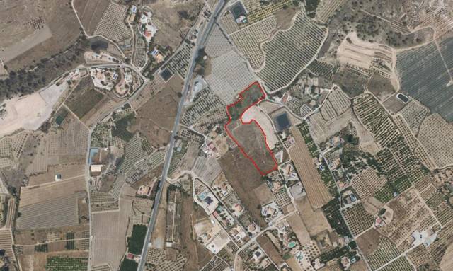 Finca rústica en Venta en Pliego