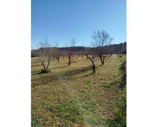 Land for sale in Torreblanca