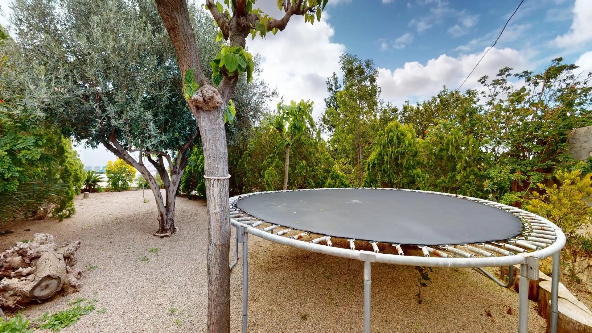 Jardín de Casa o chalet en venta en Murcia