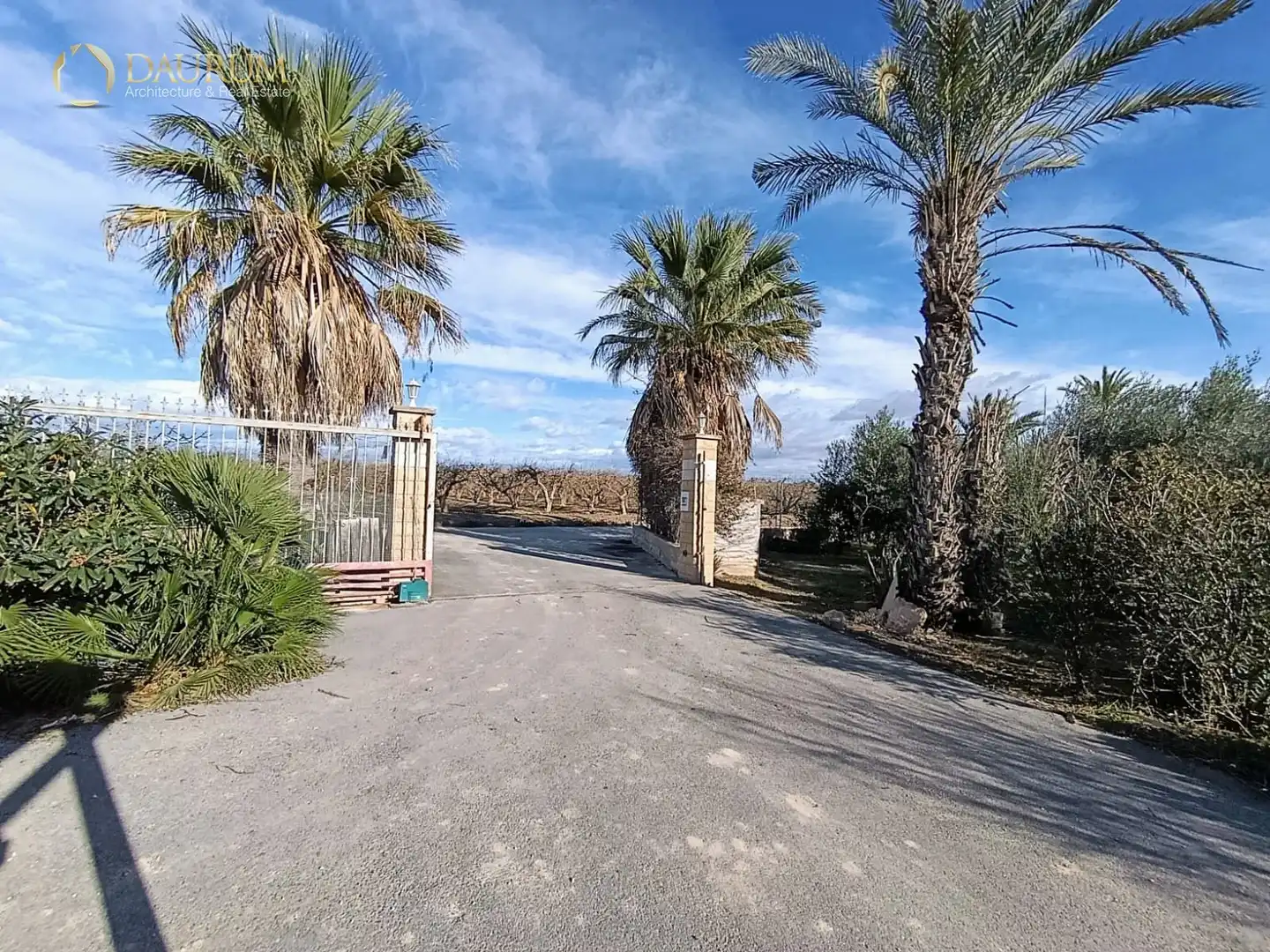Casa o xalet en venda en Elche / Elx amb Aire condicionat i Terrassa