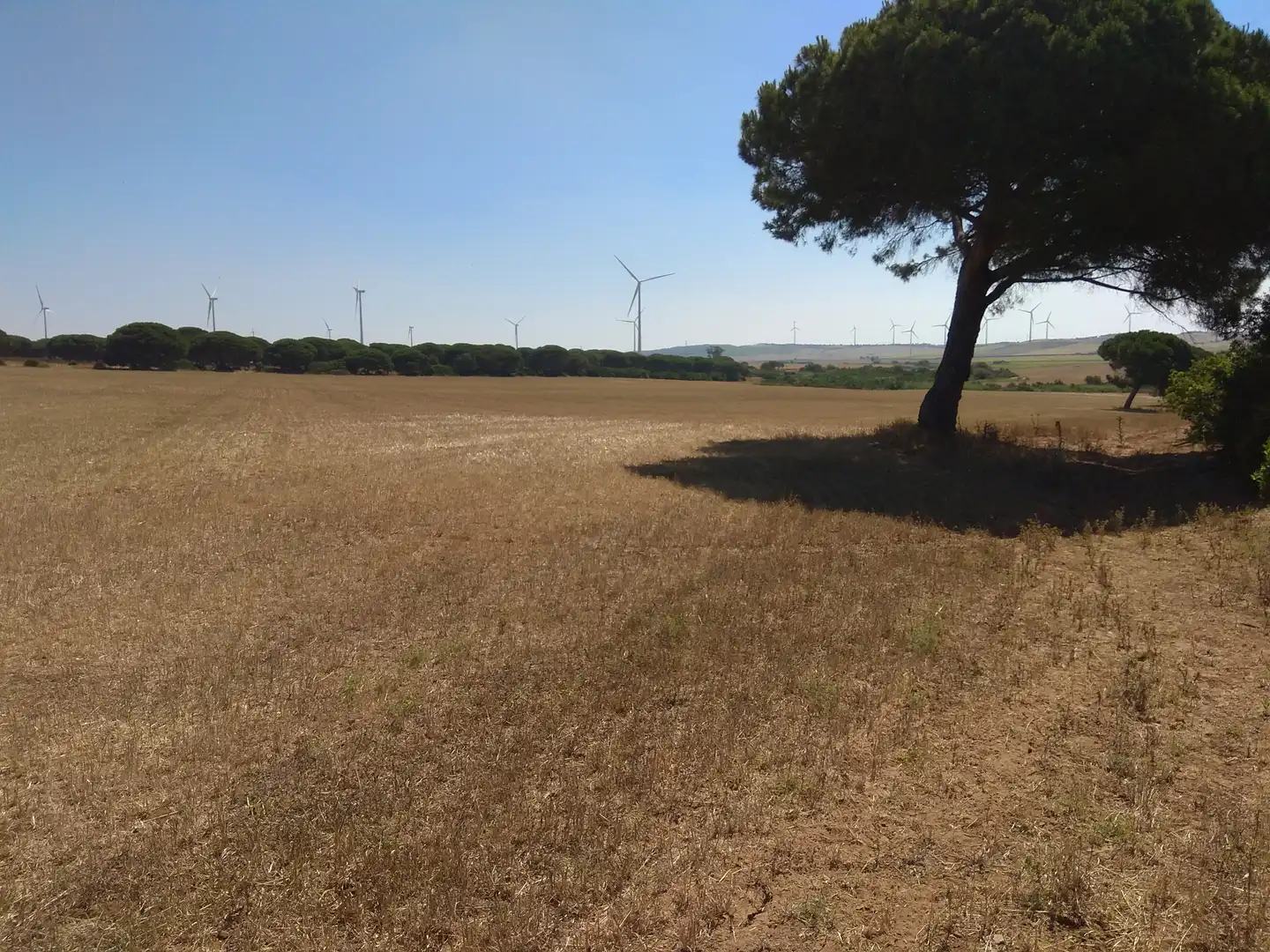 Terreno rustico in vendita a Puntales - Zona Franca, imagen 5