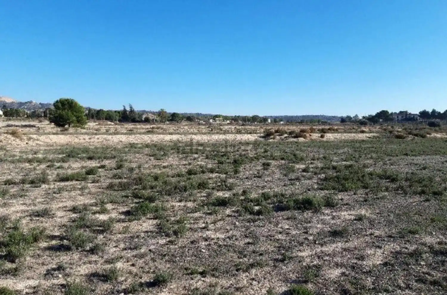Terreno rústico en venta en Monforte del Cid, imagen 3