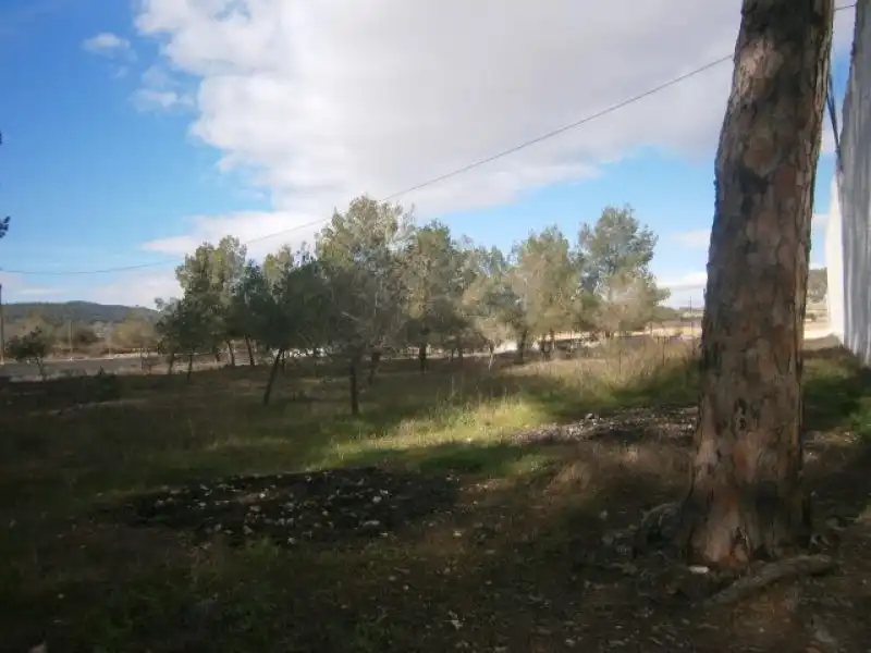 Casa rustica con giardino in vendita a Monóvar  / Monòver, imagen 66