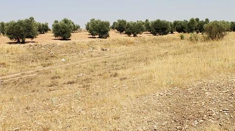 Foto 2 de Residencial en venta en Calle Mayor de San Juan, Almadén, Ciudad Real