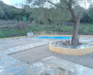 Piscina de Finca rústica de lloguer en Ubrique amb Jardí privat, Piscina i Moblat