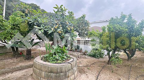 Foto 4 de Finca rústica en venta en Pego, Alicante