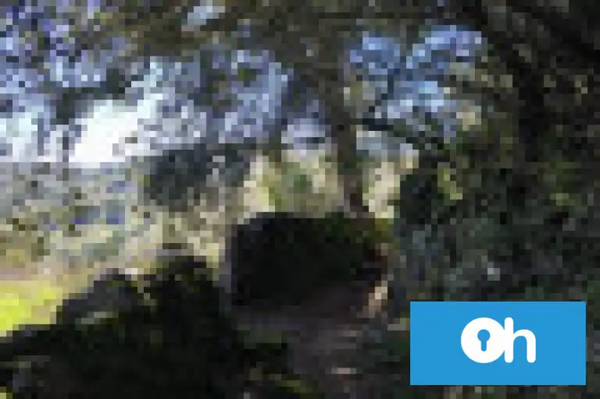 Jardín de Finca rústica en venta en Los Molares