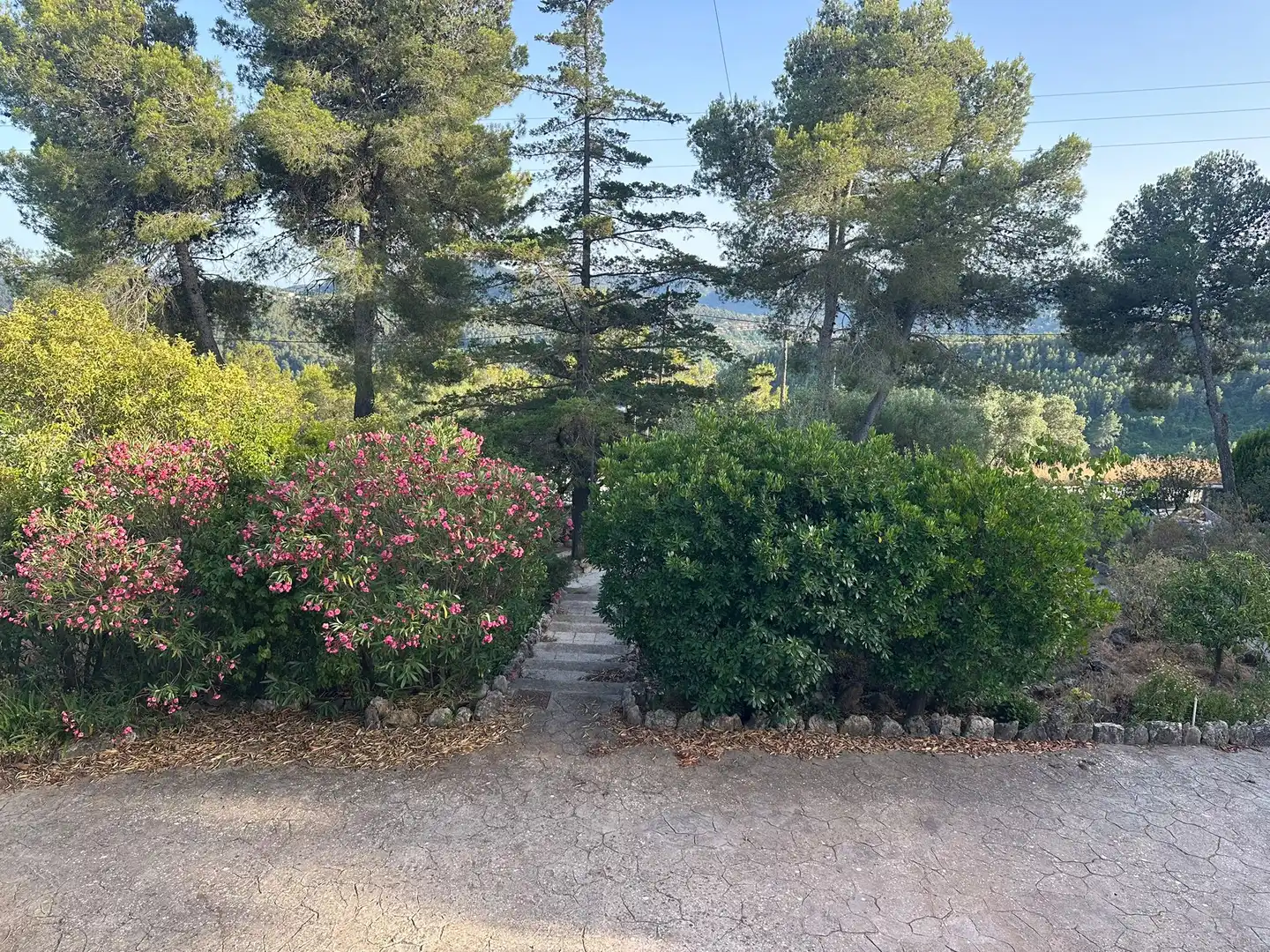 Jardí de Casa o xalet de lloguer en Cervelló amb Calefacció, Forn i TV