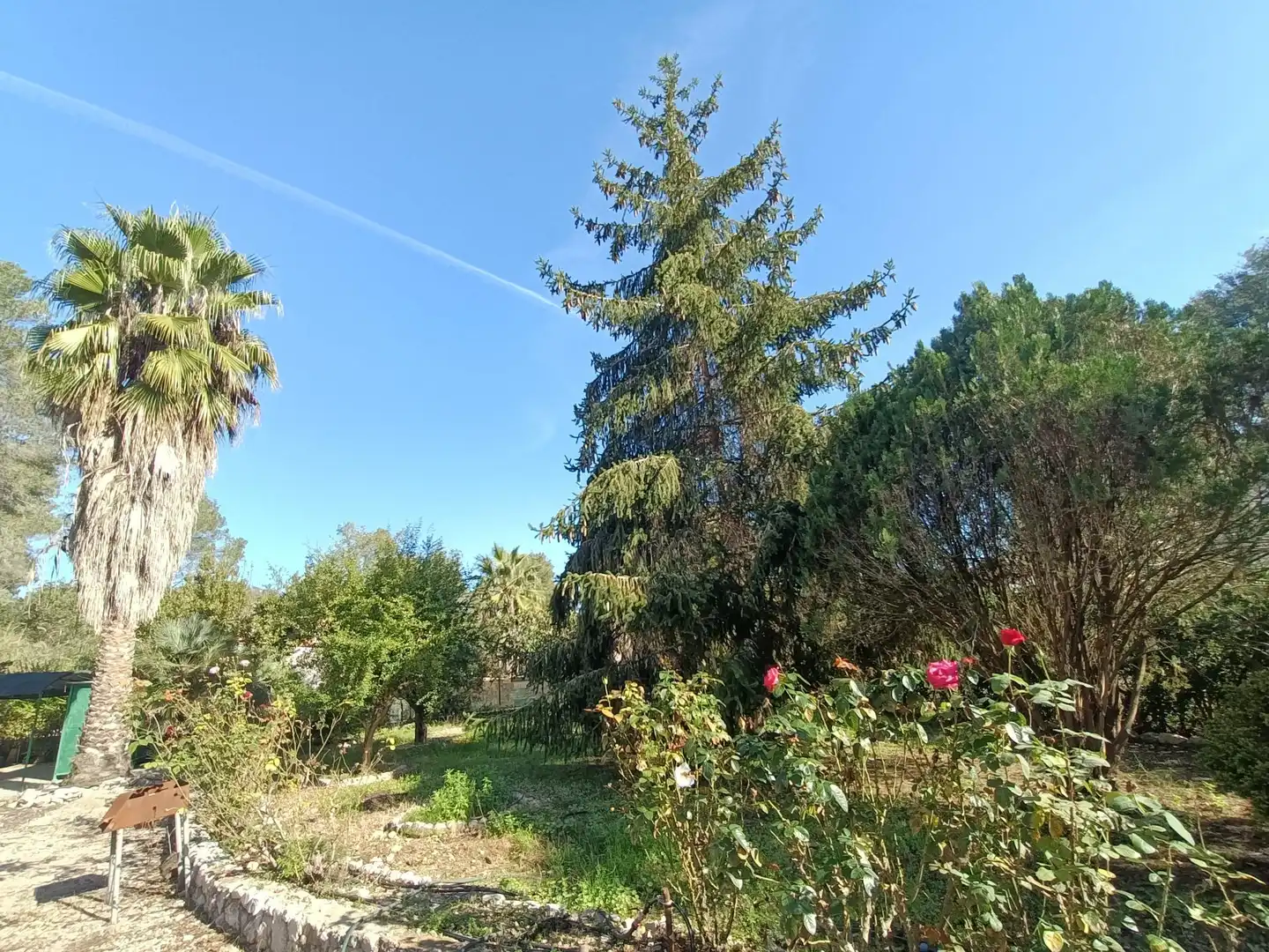 Terreno residencial en venta en Carrer CRISTOFOR COLON 24, imagen 16