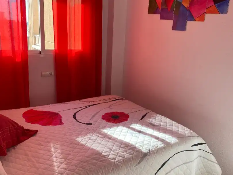 Penthouse with lift for sale in Vicente Blasco Ibáñez 152, imagen 13