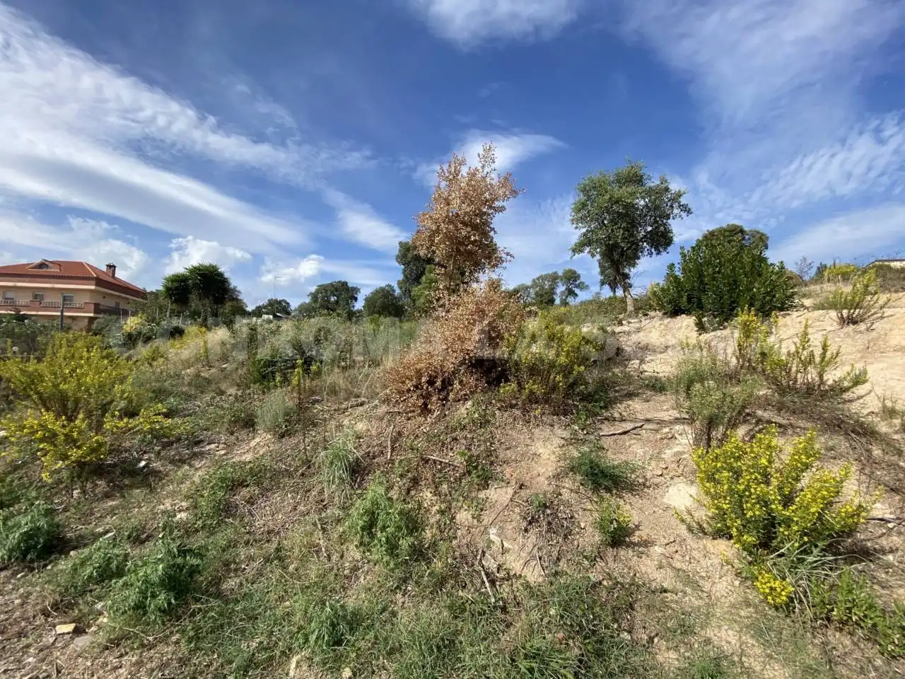 Rural land for sale in Riudarenes, imagen 2