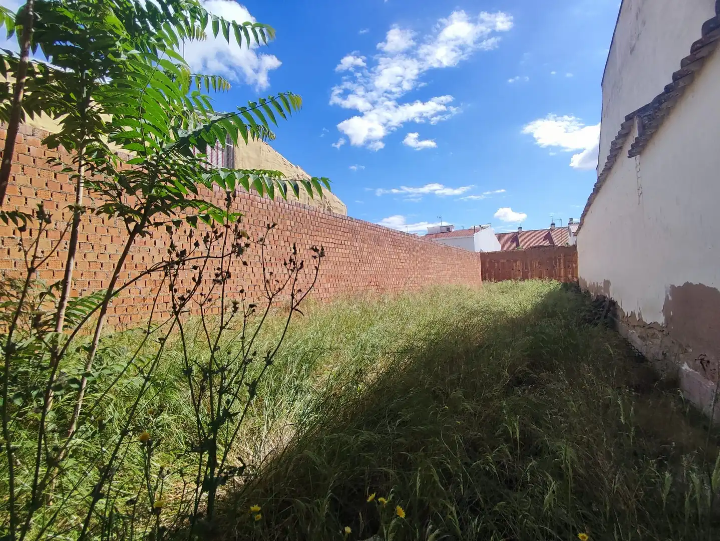 Terreny residencial en venda a Calle de Santa Catalina, imagen 23