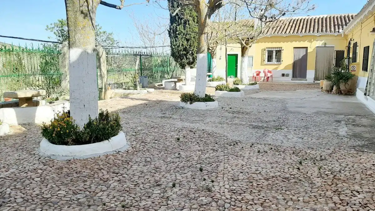 Casa rústica en venda a Valdepeñas, imagen 10
