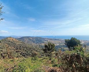 Casa o xalet en venda en Pineda de Mar amb Jardí privat, Terrassa i Traster