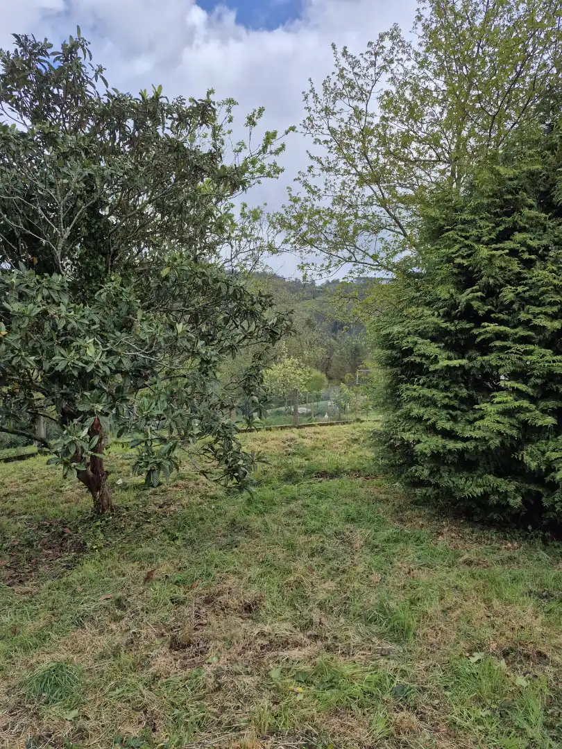 Finca rústica en venta en As Somozas  con Jardín privado