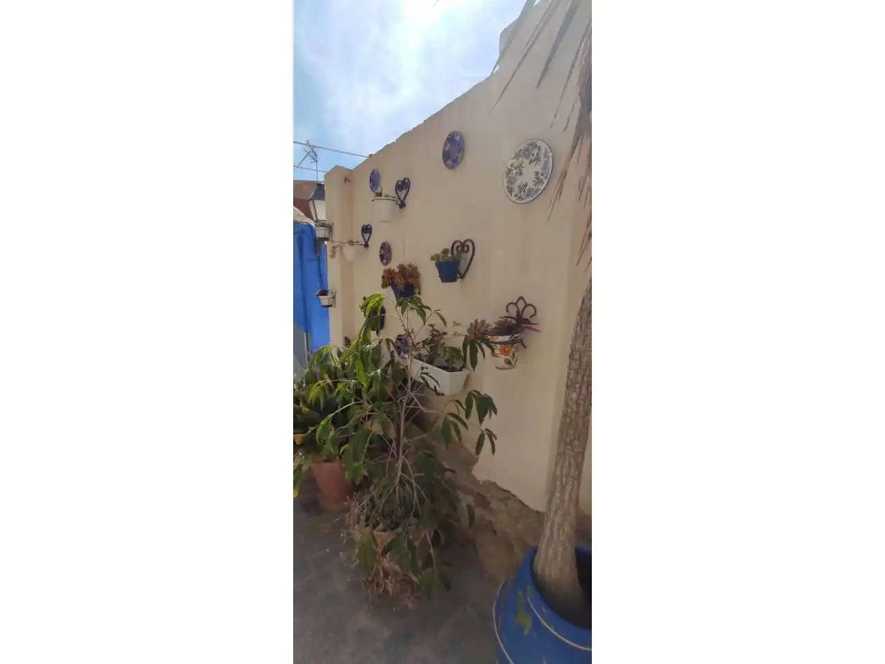 Jardí de Casa o xalet en venda en Alicante / Alacant amb Aire condicionat, Jardí privat i Terrassa