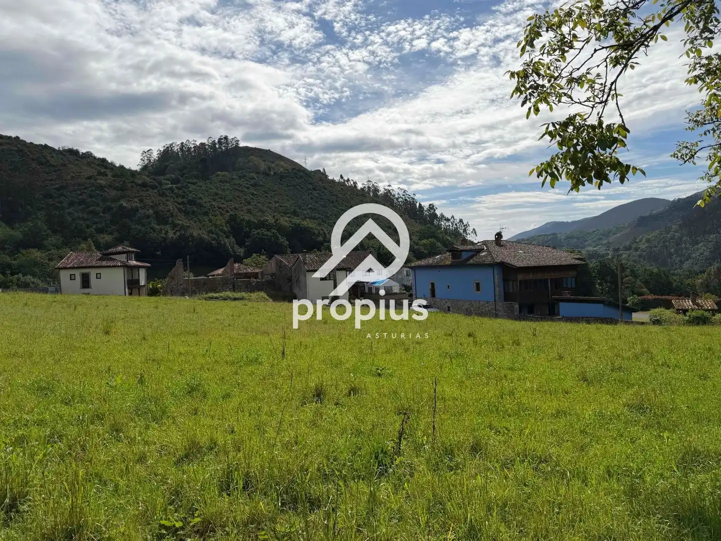 Rural land for sale in Bode, imagen 14