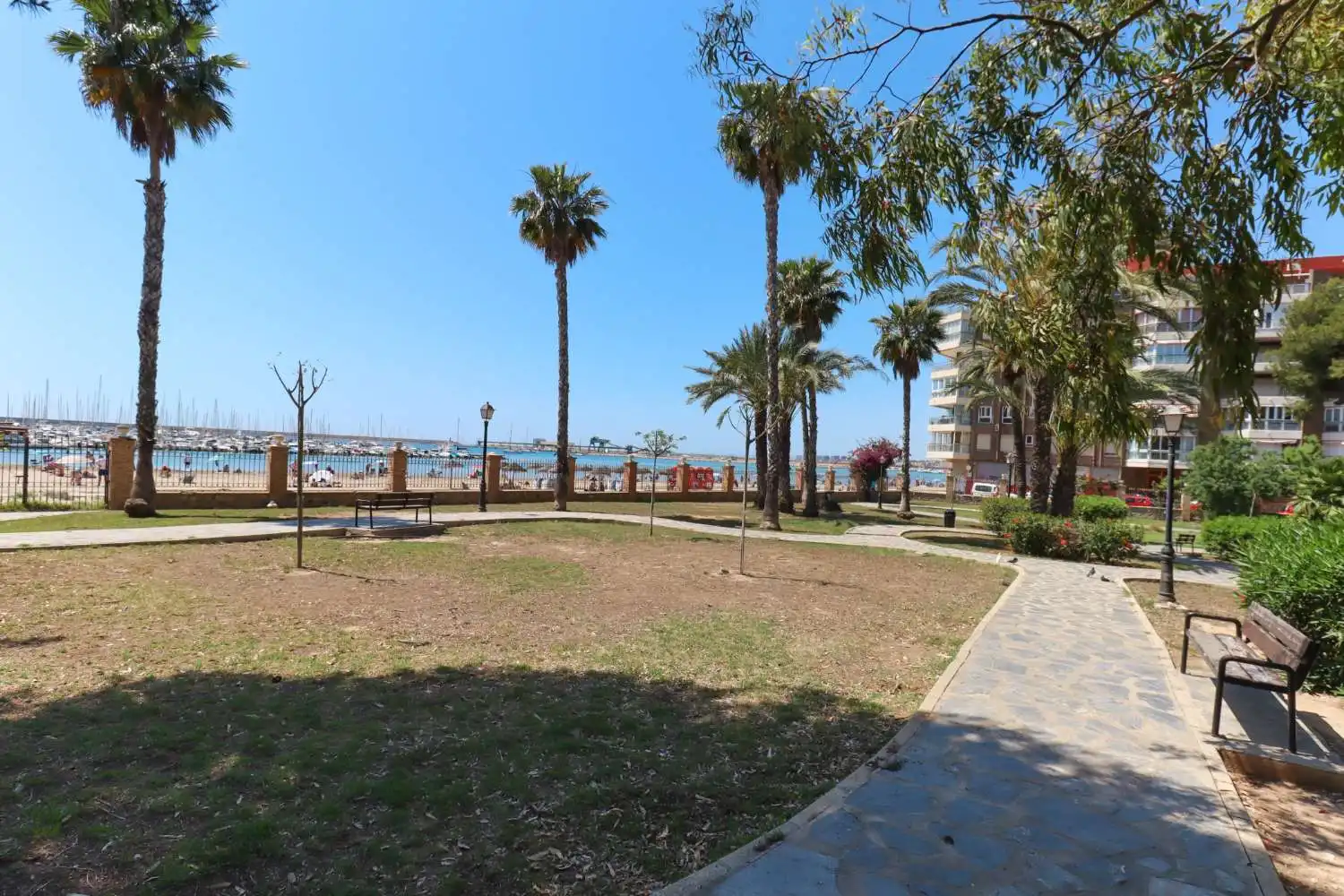 Jardí de Local en venda en Torrevieja