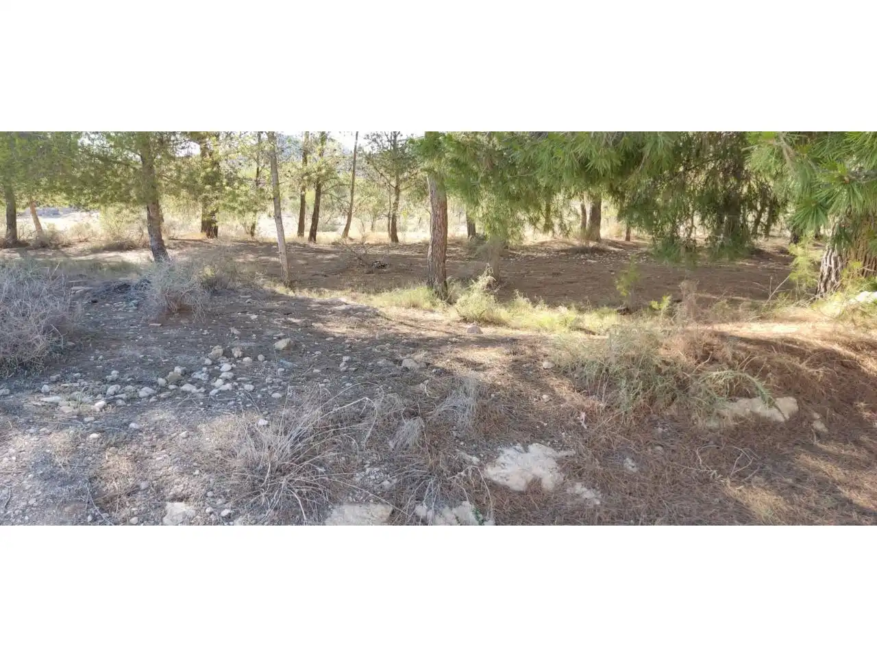 Terrenos y solares en venta en Hellín, imagen 5
