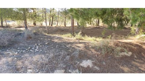 Terreno en venta en Isso, imagen 5
