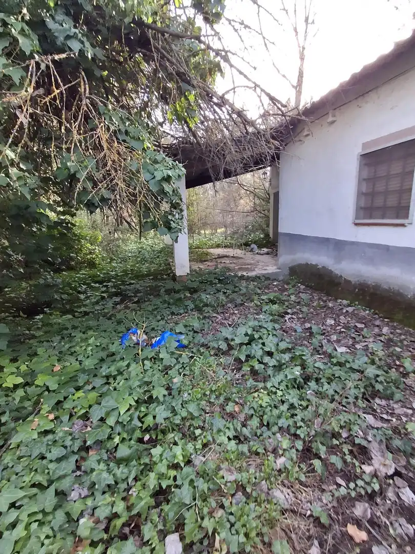 Houses for rent in Pezuela de las Torres