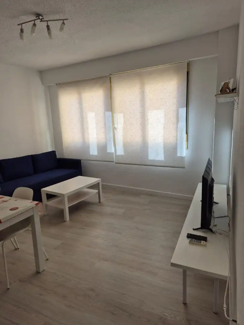 Apartamento con ascensor en alquiler en Las Atalayas - Urmi - Cerro de Mar, imagen 12