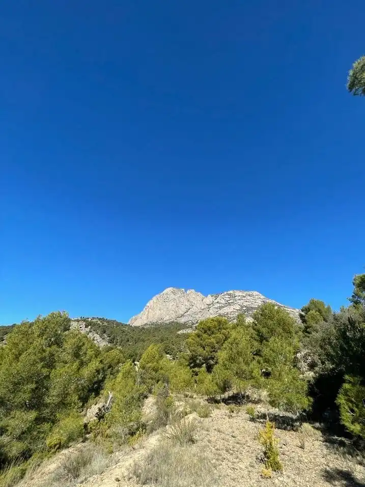 Terreny residencial en venda a Finestrat Pueblo, imagen 12