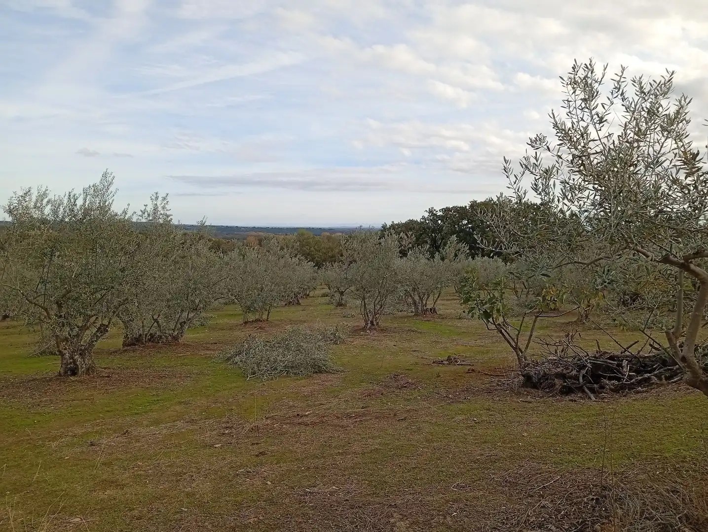 Terreni e lotti in vendita a Villanueva de la Vera, imagen 60