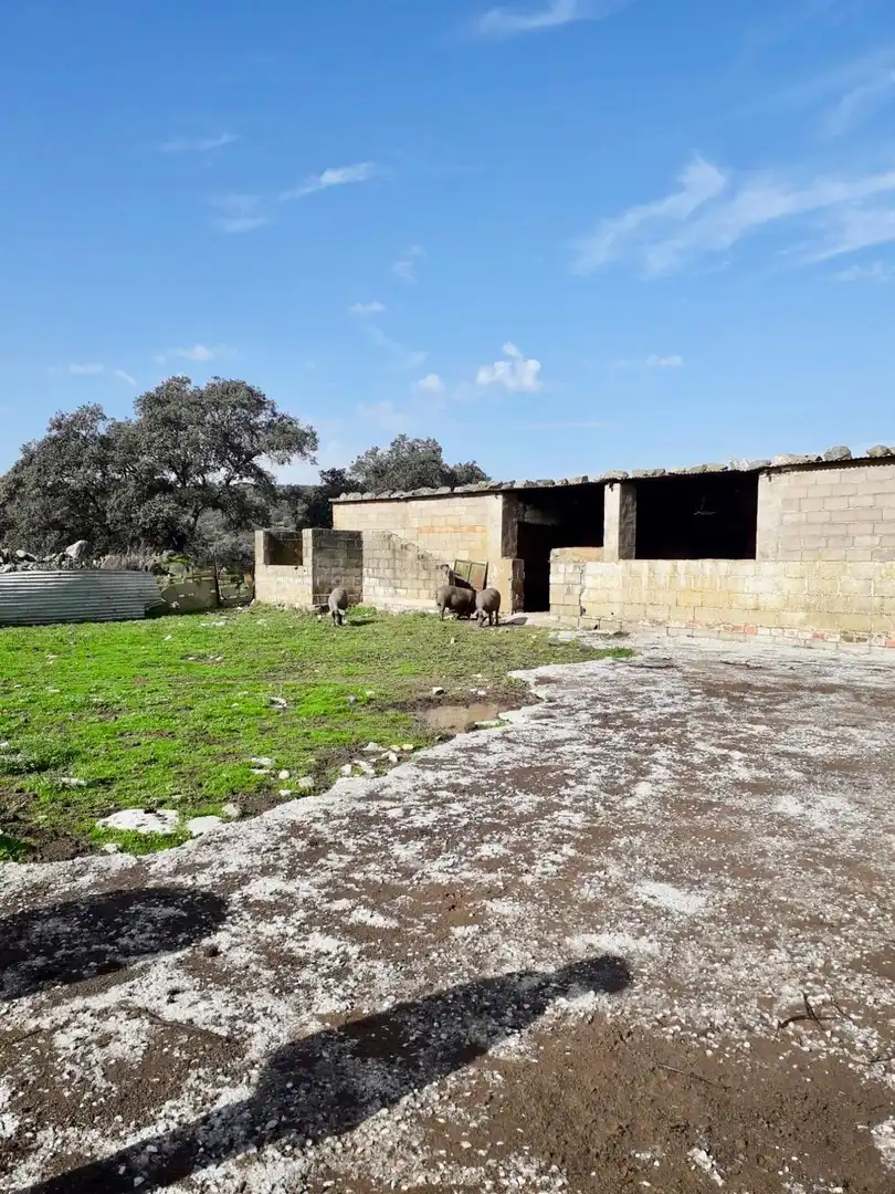 Rural land for sale in Fuente Obejuna, imagen 14