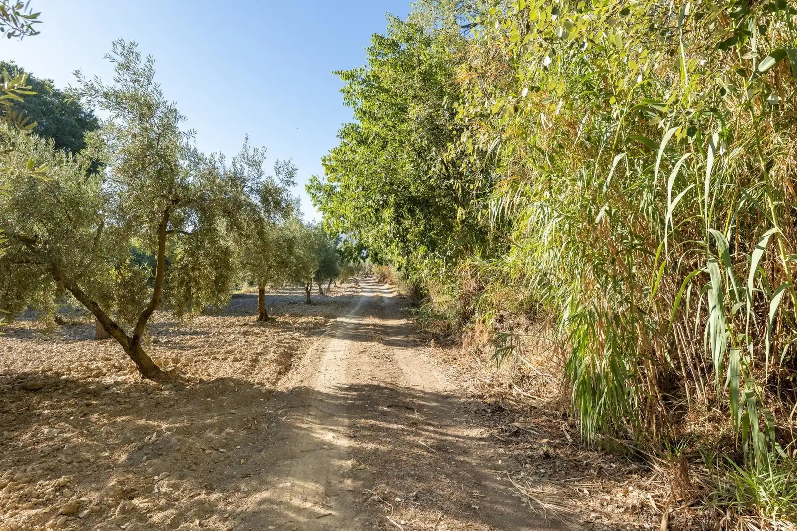 Rustikales Grundstück zum Verkauf in Calle rio bermejo, imagen 10