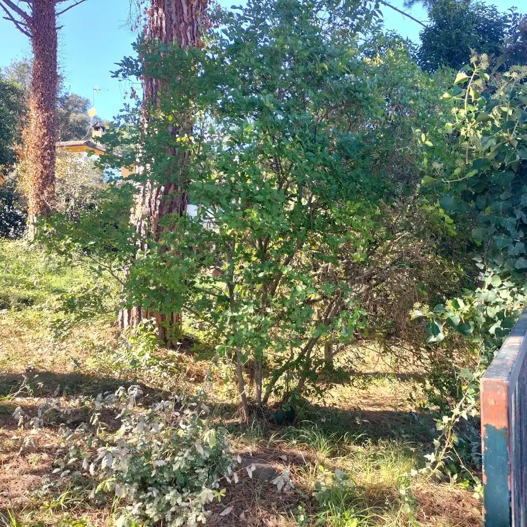 Terrain résidentiel à vendre à Carrer Carrer de Miquel Àngel 161, imagen 8