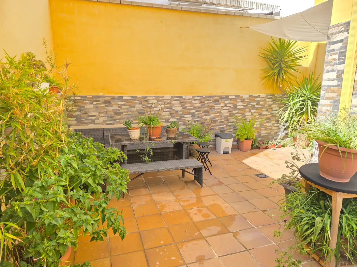 Terraced house for sale in Calle Pámpano, imagen 16