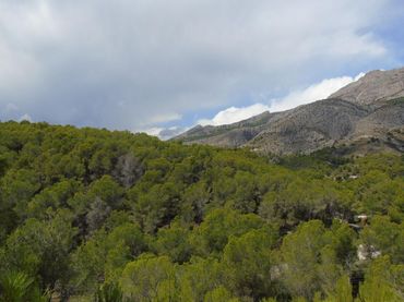 Grundstücke und Bauplätze zum Verkauf in Altea la Vella