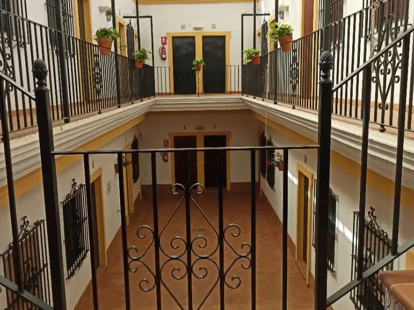 Apartments for rent in El Rocío  