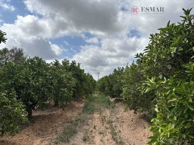 Terreno en Venta en Doctor Palos - Alto Palancia