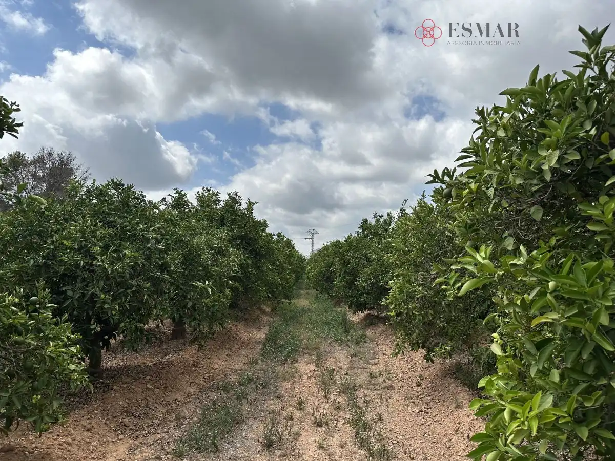 Rural land for sale in Sagunto ciudad