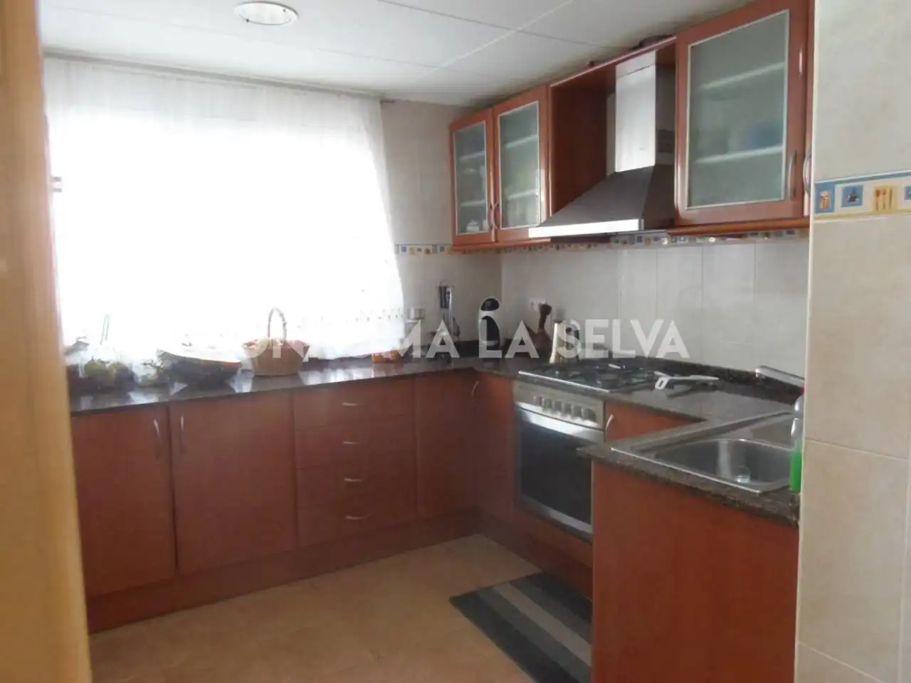 House with garden for sale in Residencial Park, imagen 13