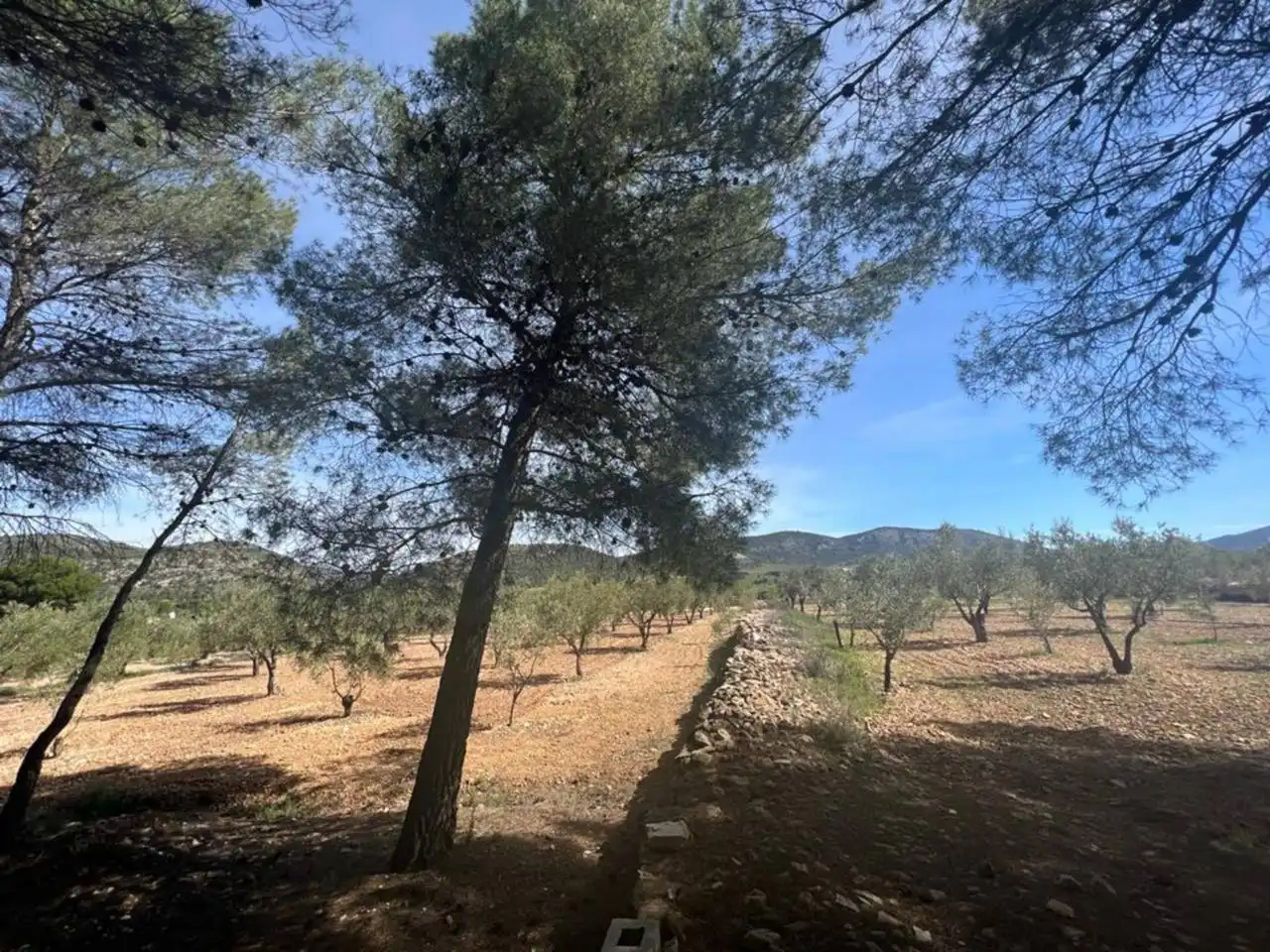 Chalet con jardín en venta en Calle Poligono, imagen 96